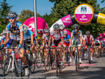 Lang Team Byt&oacute;w